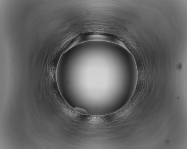 X0000095520141200712141454