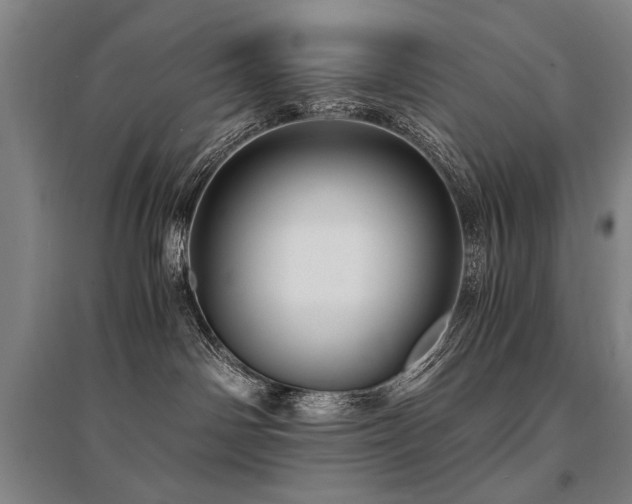 X0000095520142200712141454