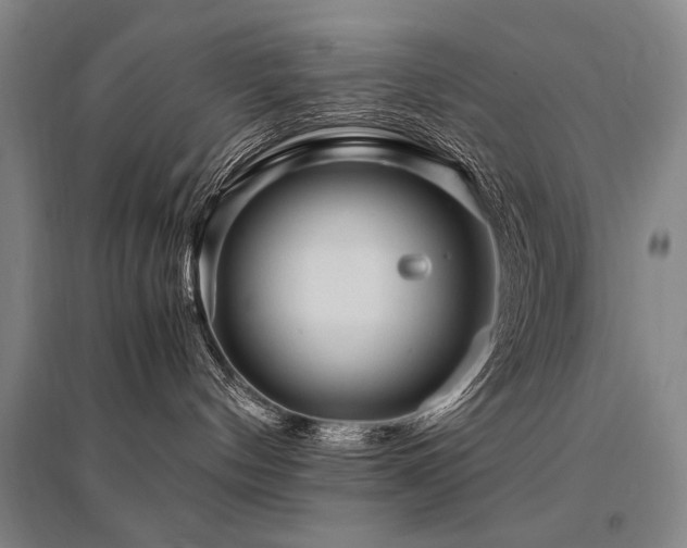 X0000095520144200712141454