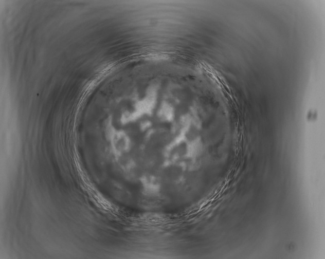 X0000095520145200712141454