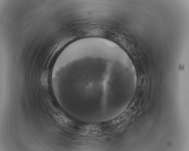 X0000095520146200712141454