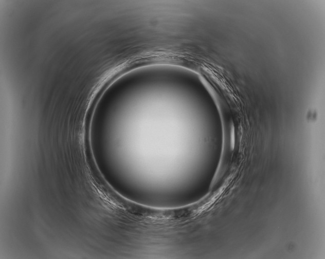 X0000095520148200712141454