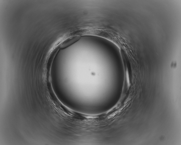 X0000095520150200712141454