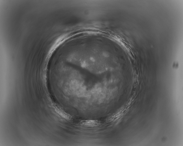 X0000095520151200712141454