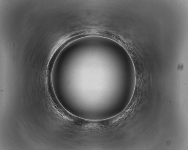 X0000095520152200712141454