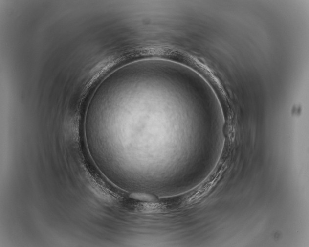 X0000095520154200712141454