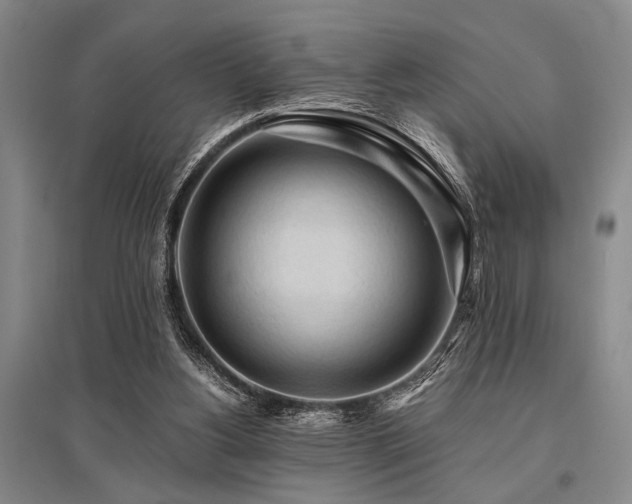 X0000095520156200712141454