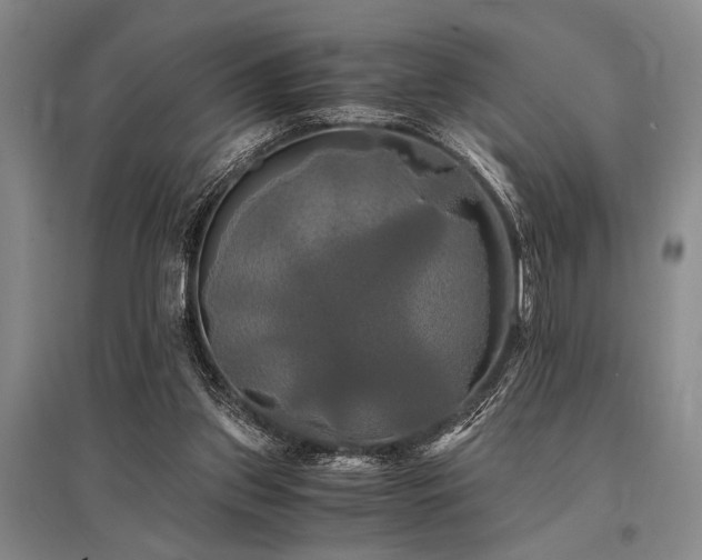 X0000095520157200712141454