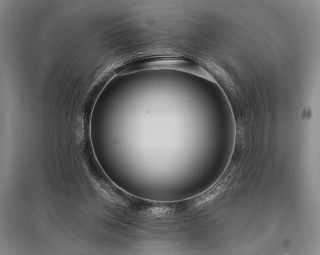 X0000095520158200712141454