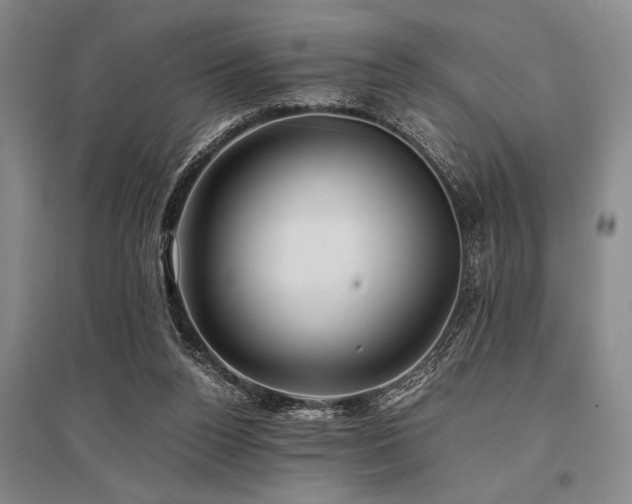 X0000095520160200712141454