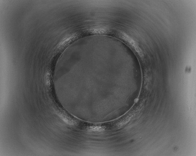 X0000095520161200712141454