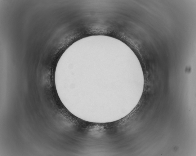 X0000095520162200712141454