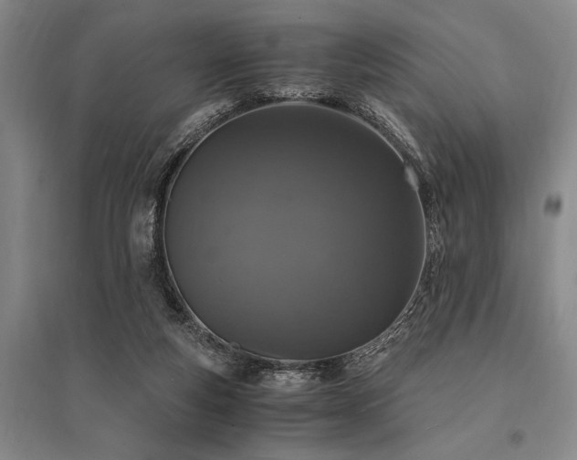 X0000095520163200712141454