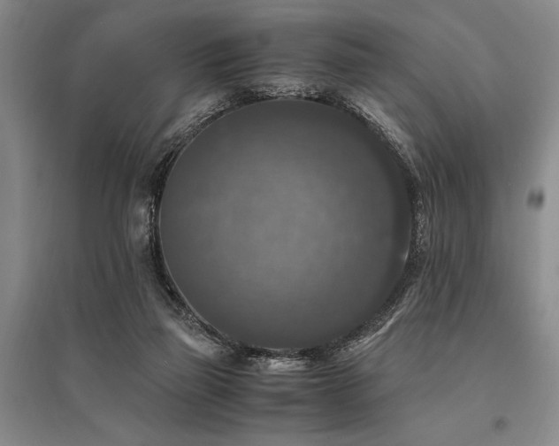 X0000095520165200712141454