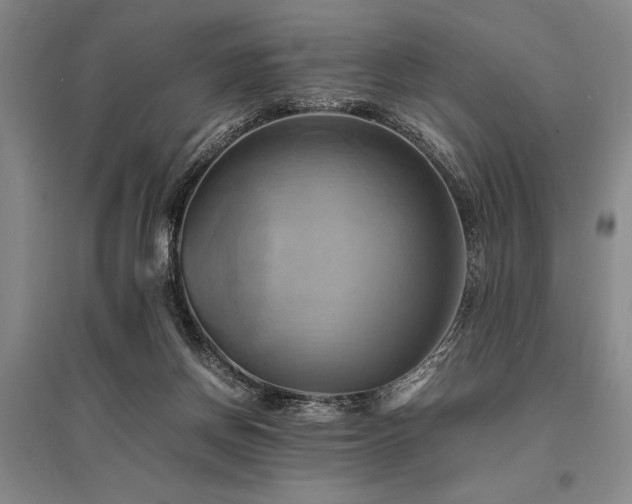 X0000095520166200712141454