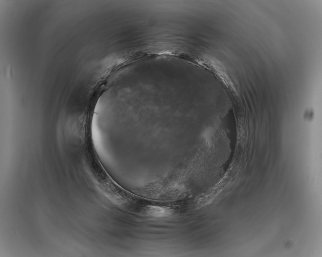 X0000095520167200712141454