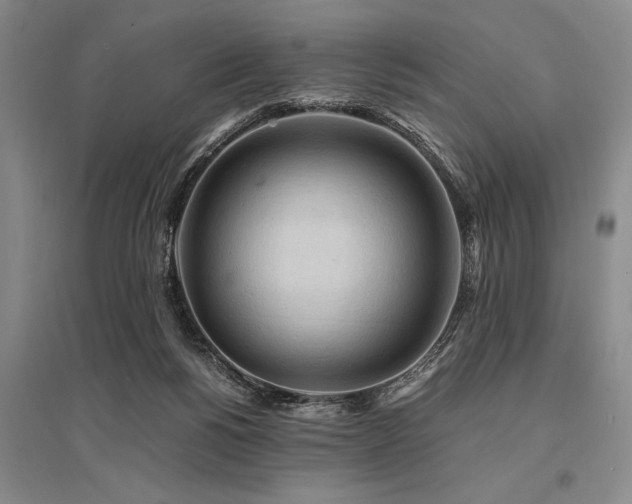 X0000095520168200712141454