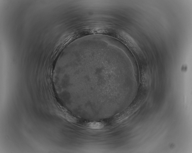 X0000095520169200712141454