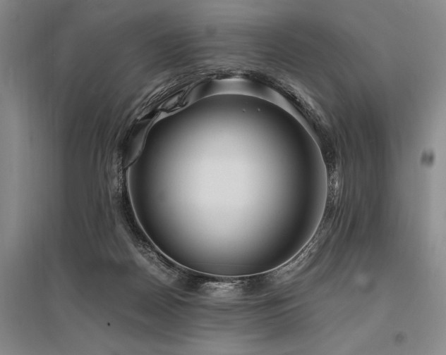 X0000095520170200712141454