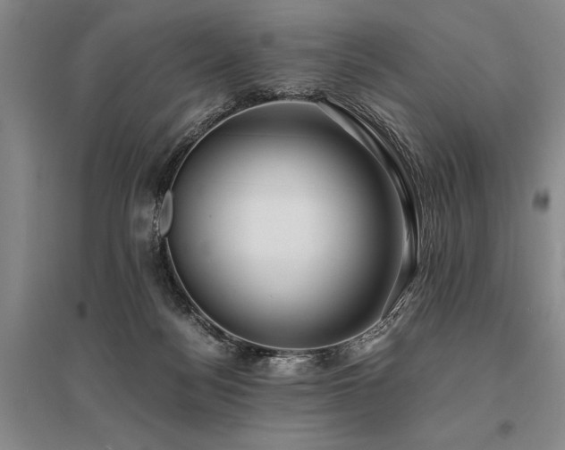 X0000095520172200712141454