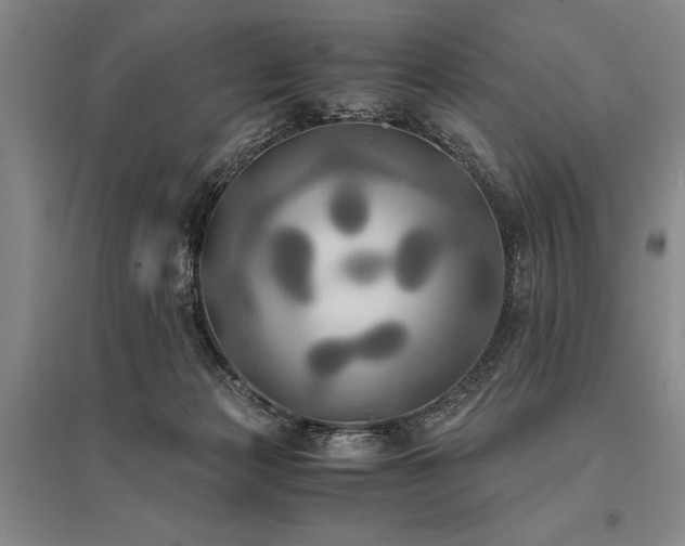 X0000095520173200712141454