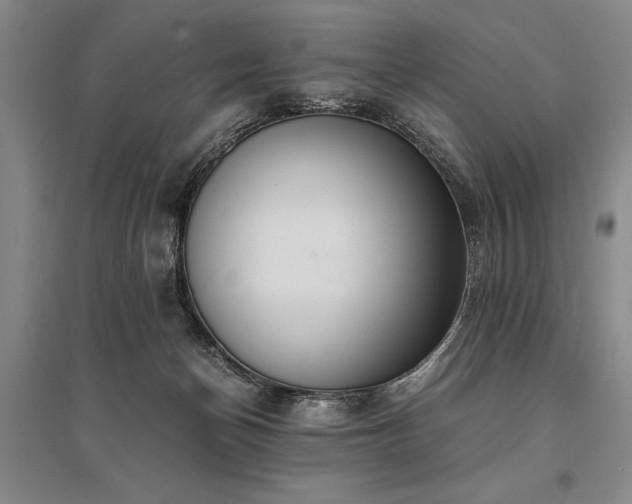 X0000095520174200712141454