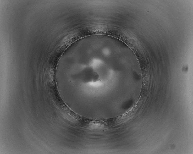 X0000095520175200712141454