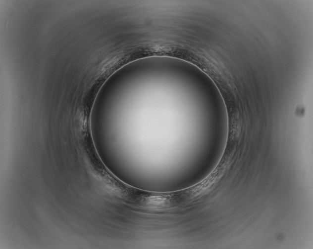 X0000095520176200712141454