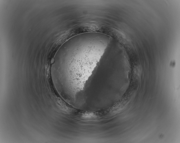 X0000095520177200712141454