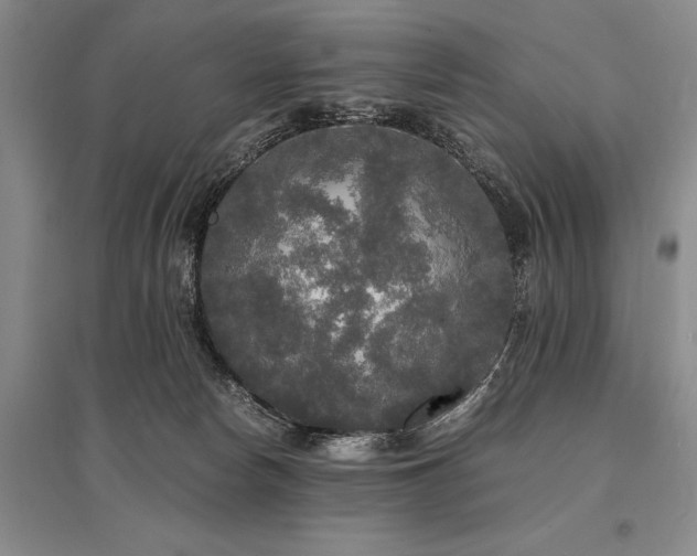 X0000095520178200712141454