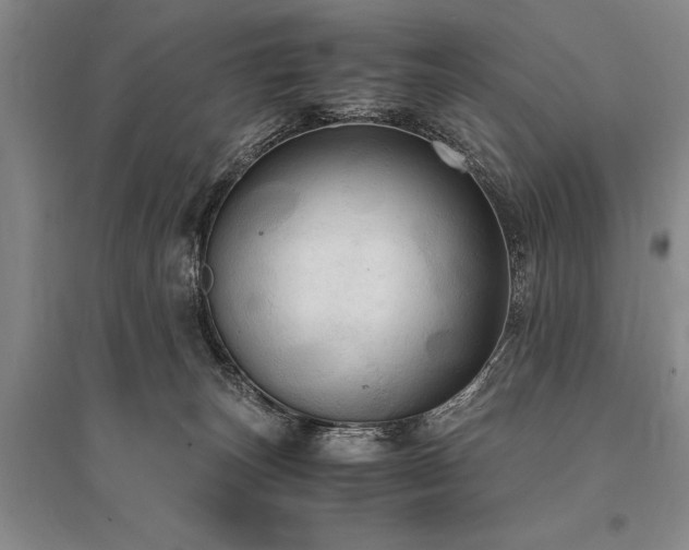 X0000095520179200712141454