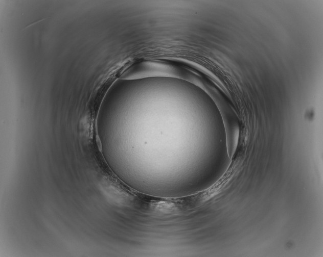 X0000095520180200712141454