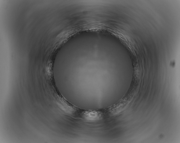 X0000095520181200712141454