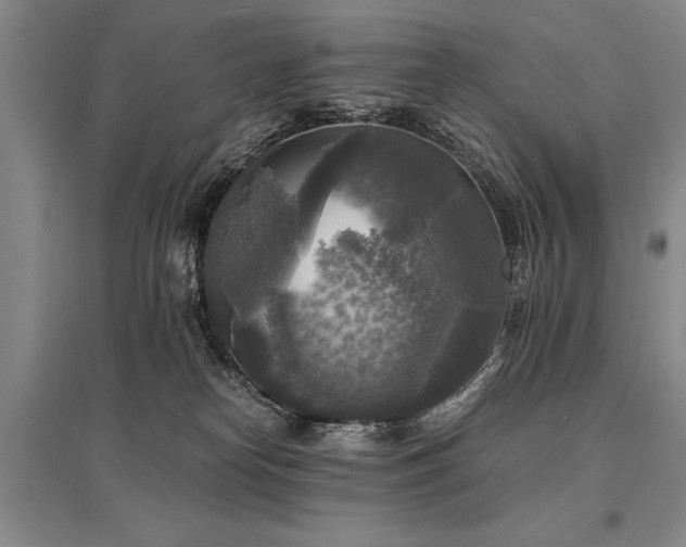 X0000095520182200712141454