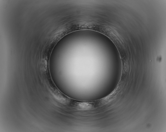 X0000095520183200712141454