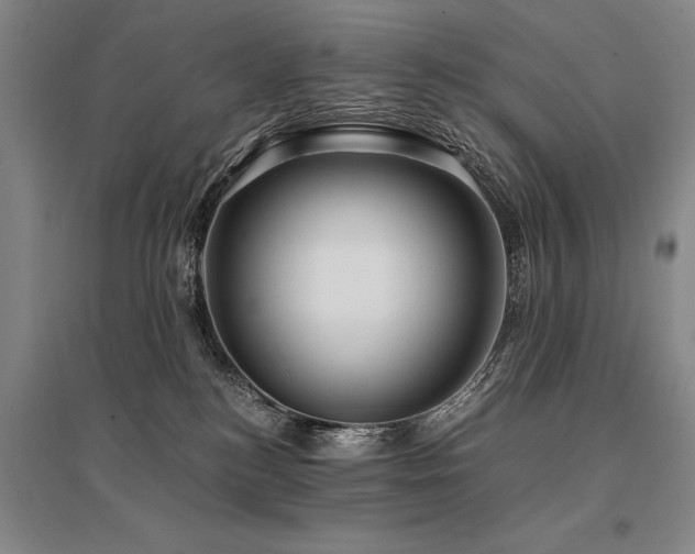 X0000095520184200712141454