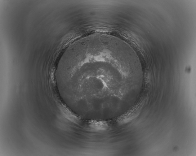 X0000095520185200712141454