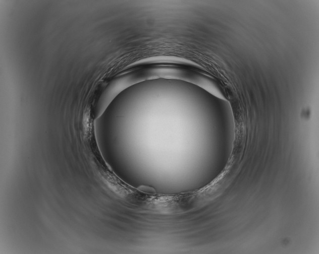 X0000095520186200712141454