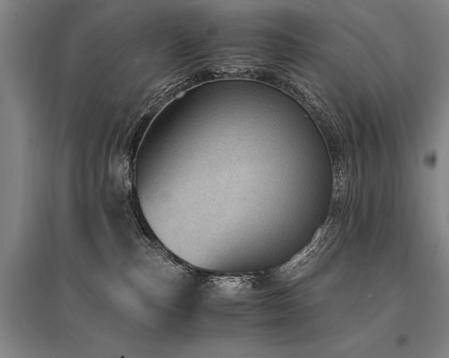 X0000095520187200712141454