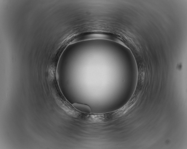 X0000095520188200712141454