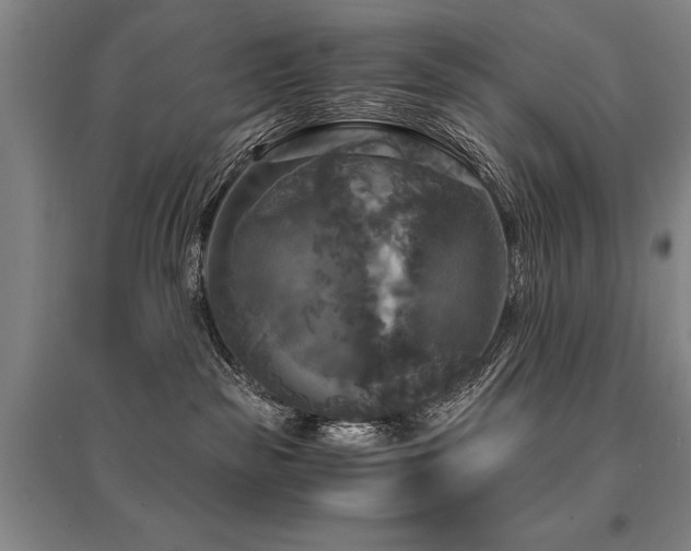 X0000095520189200712141454