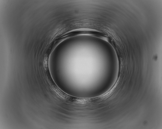 X0000095520190200712141454