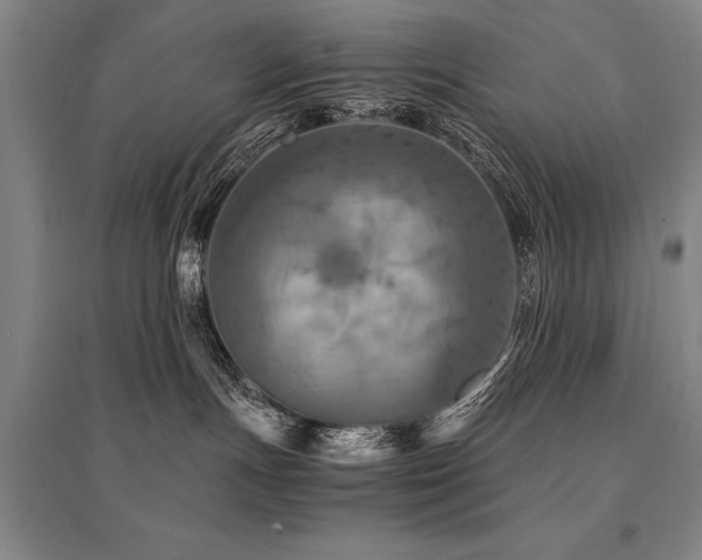 X0000095520191200712141454