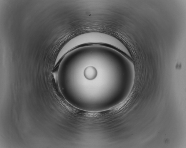 X0000095520192200712141454