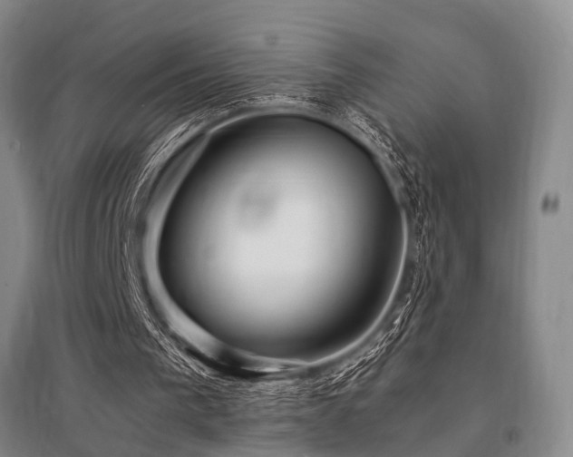 X0000095520193200712141454