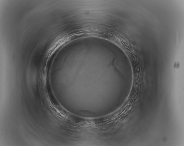 X0000095520194200712141454