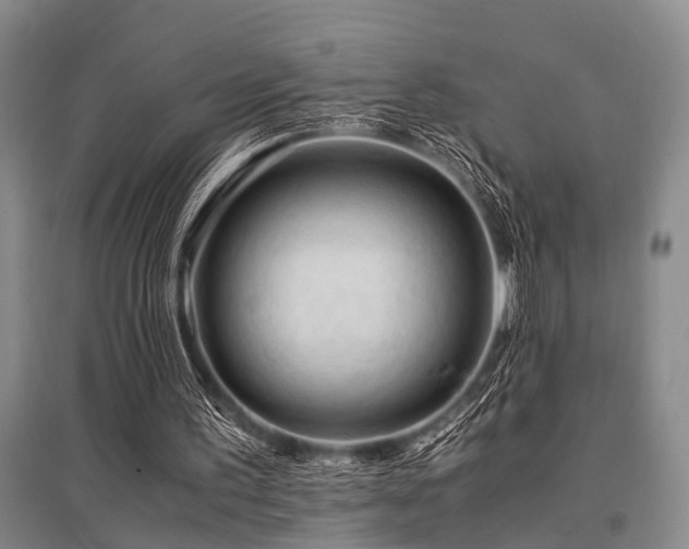 X0000095520195200712141454