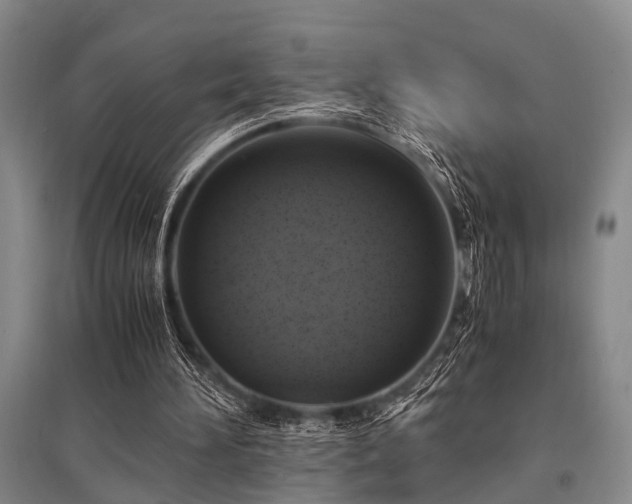 X0000095520196200712141453