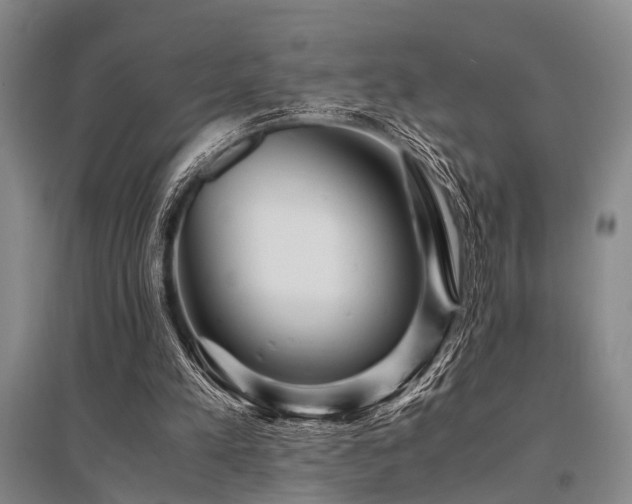 X0000095520197200712141453