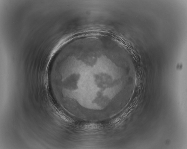 X0000095520198200712141453